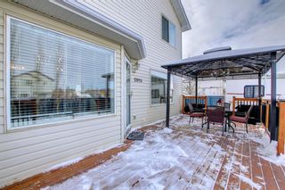 Photo 46: 12893 Coventry Hills Way NE in Calgary: Coventry Hills Detached for sale : MLS®# A1179927
