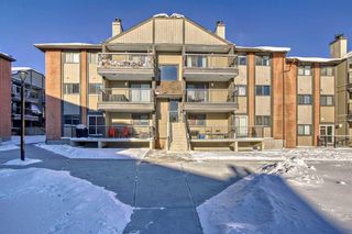 Photo 42: 4314 13045 6 Street SW in Calgary: Canyon Meadows Apartment for sale : MLS®# A2101573