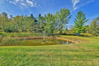 Photo 31: 5945 Old Homestead Road in Georgina: Sutton & Jackson's Point House (Bungalow) for sale : MLS®# N5744704
