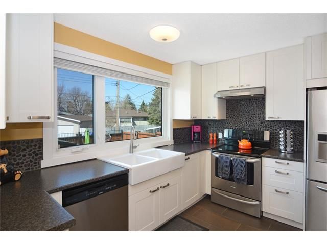 Photo 16: Photos: 519 MURPHY Place NE in Calgary: Mayland Heights House for sale : MLS®# C4110120