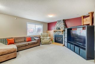 Photo 25: 22 Big Springs Rise SE: Airdrie Detached for sale : MLS®# A1221556