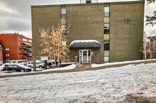 Photo 10: 305 1820 9 Street SW in Calgary: Lower Mount Royal Apartment for sale : MLS®# A2115945