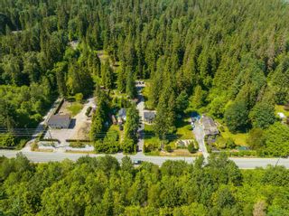 Photo 35: 31113 DEWDNEY TRUNK Road in Mission: Stave Falls House for sale : MLS®# R2898048