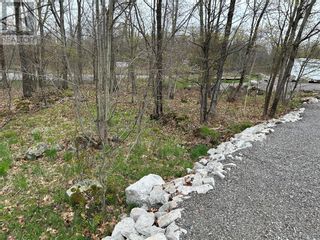 Photo 16: 1382 COUNTY ROAD 36 ROAD in Bobcaygeon: Vacant Land for sale : MLS®# 1339750