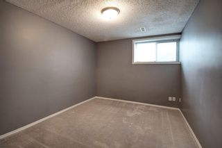 Photo 28: 264 Prestwick Avenue SE in Calgary: McKenzie Towne Detached for sale : MLS®# A1252538
