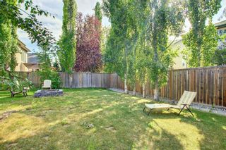 Photo 49: 31 Cranleigh Gardens SE in Calgary: Cranston Detached for sale : MLS®# A1244746