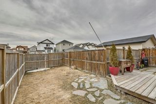 Photo 26: 104 COPPERSTONE Circle SE in Calgary: Copperfield House for sale : MLS®# C4179675