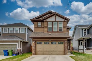 Photo 43: 1314 Kings Heights Way SE: Airdrie Detached for sale : MLS®# A1225352