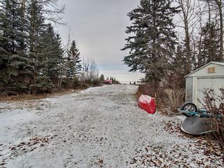 Photo 19: 105 Premier Avenue: Gull Lake Detached for sale : MLS®# A1166073