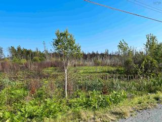Photo 2: Lot 9009 Hemlock Drive in Upper Tantallon: 21-Kingswood, Haliburton Hills, Vacant Land for sale (Halifax-Dartmouth)  : MLS®# 202313936