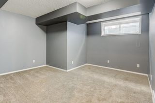 Photo 23: 47 BRIDLEPOST Green SW in Calgary: Bridlewood Detached for sale : MLS®# C4296082