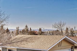 Photo 15: 155 Castlebrook Road NE in Calgary: Castleridge Detached for sale : MLS®# A2035809
