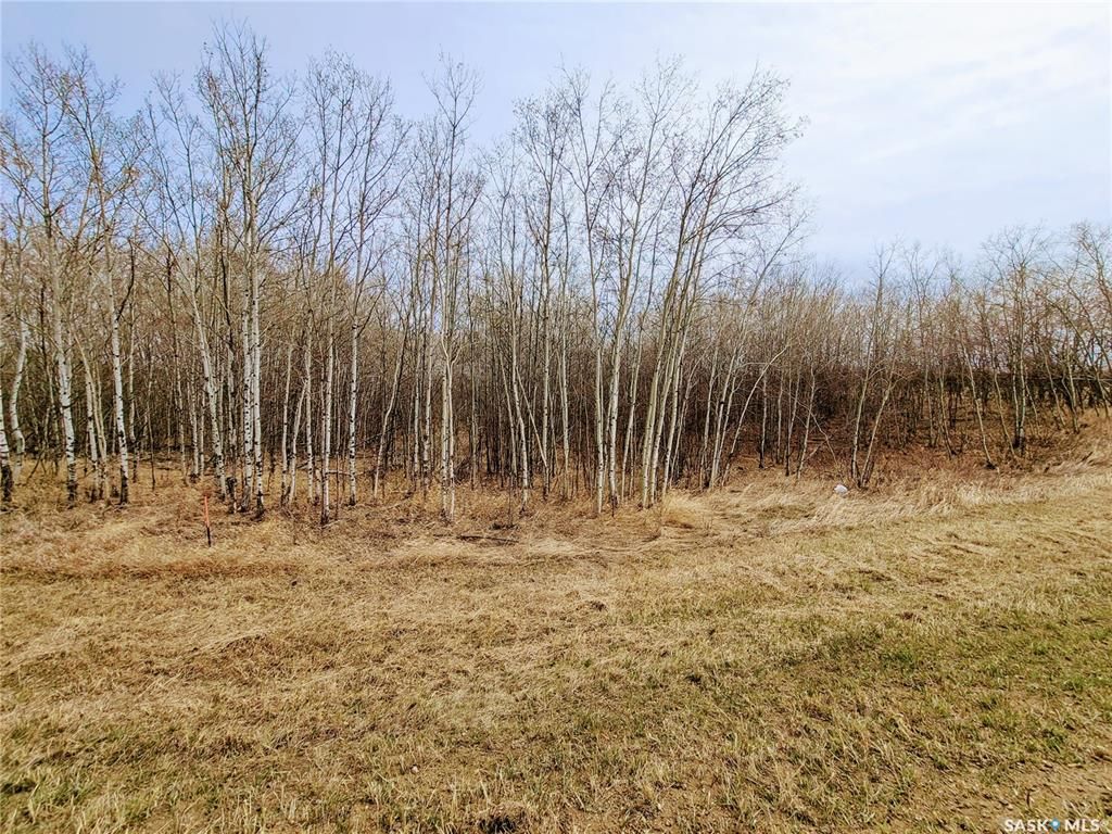 Main Photo: Parcel V Pike Lake Acreage in Pike Lake: Lot/Land for sale : MLS®# SK890767