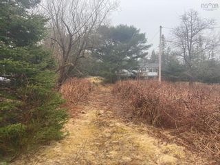 Photo 2: 10522 Highway 7 in Oyster Pond: 35-Halifax County East Vacant Land for sale (Halifax-Dartmouth)  : MLS®# 202205861