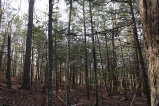 Photo 22: Lot 1 Power Lot Road in Clementsport: Annapolis County Vacant Land for sale (Annapolis Valley)  : MLS®# 202227444