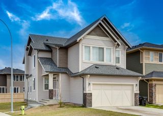 Photo 1: 60 Saddlelake Manor NE in Calgary: Saddle Ridge Detached for sale : MLS®# A1217915