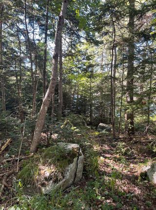 Photo 6: Lot 2 Highway 3 in East River: 405-Lunenburg County Vacant Land for sale (South Shore)  : MLS®# 202221818