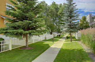 Photo 29: 240 MCKENZIE TOWNE Link SE in Calgary: McKenzie Towne Row/Townhouse for sale : MLS®# A1017413