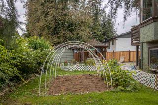 Photo 33: 32094 HOLIDAY Avenue in Mission: Mission BC House for sale : MLS®# R2507161