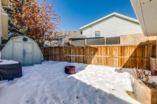 Photo 26: 137 Coventry Place NE in Calgary: Coventry Hills Detached for sale : MLS®# A2033662