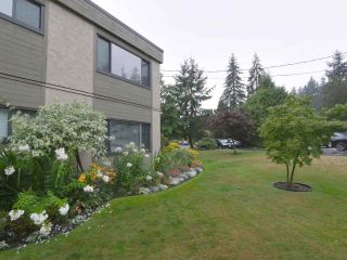 Photo 23: 1259 PLATEAU DRIVE in North Vancouver: Pemberton Heights Condo for sale : MLS®# R2495881
