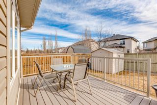 Photo 35: 2520 Coopers Circle SW: Airdrie Detached for sale : MLS®# A1194816