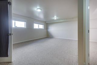 Photo 30: : Red Deer Detached for sale : MLS®# A1250381
