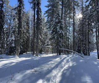 Photo 13: DL 801 HIGHWAY 3B in Rossland: Vacant Land for sale : MLS®# 2474556