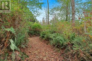 Photo 11: 6510 Eagles Dr in Courtenay: Vacant Land for sale : MLS®# 960181