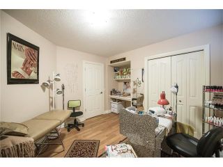 Photo 34: 84 CHAPALA Square SE in Calgary: Chaparral House for sale : MLS®# C4074127