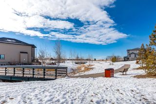 Photo 41: 102 Bayview Street SW: Airdrie Detached for sale : MLS®# A2108871