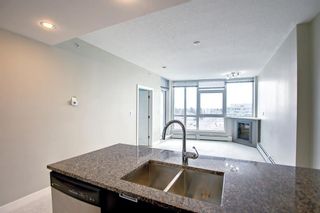 Photo 6: 603 99 Spruce Place SW in Calgary: Spruce Cliff Apartment for sale : MLS®# A1183504