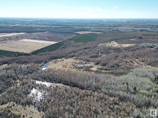 Photo 6: NNE-27-66-21-W4: Rural Athabasca County Vacant Lot/Land for sale : MLS®# E4387129