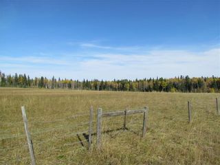 Photo 16: TWP Rd 310: Rural Mountain View County Land for sale : MLS®# C4292828