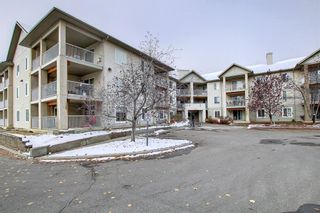 Photo 20: 203 4000 Citadel Meadow Point NW in Calgary: Citadel Apartment for sale : MLS®# A2008741