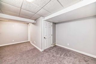 Photo 37: 65 Millrise Lane SW in Calgary: Millrise Semi Detached (Half Duplex) for sale : MLS®# A2124956