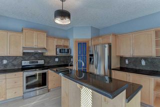 Photo 18: 240 Royal Birch Mews NW in Calgary: Royal Oak Detached for sale : MLS®# A2091681