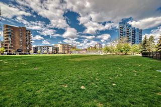 Photo 47: 1401 215 13 Avenue SW in Calgary: Beltline Apartment for sale : MLS®# A2133699