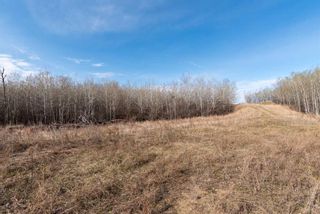 Photo 23: 50251 Rge. Rd. 25 in Rural Vermilion River, County of: Rural Vermilion River County Residential Land for sale : MLS®# A2107926