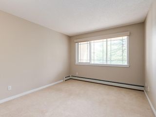 Photo 20: 209 9449 19 Street SW in Calgary: Palliser Apartment for sale : MLS®# A1057053
