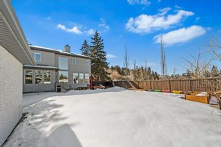 Photo 44: 8936 33 Avenue NW in Calgary: Bowness Detached for sale : MLS®# A2030410