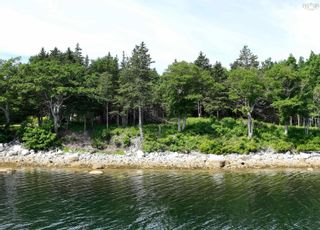 Photo 4: Lot 2-BA Borgels Drive in Chester Basin: 405-Lunenburg County Vacant Land for sale (South Shore)  : MLS®# 202208029