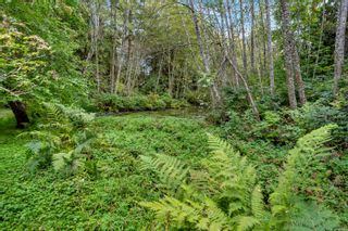 Photo 47: 11237 Hedgerow Dr in North Saanich: NS Lands End House for sale : MLS®# 945189