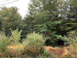 Photo 1: Lot 7-8 Logan Road in Frasers Mountain: 108-Rural Pictou County Vacant Land for sale (Northern Region)  : MLS®# 202020090