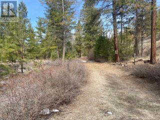 Photo 48: LOT 4 WHITETAIL Place in Osoyoos: Vacant Land for sale : MLS®# 198188