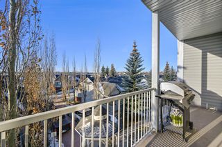 Photo 18: 319 8 Prestwick Pond Terrace SE in Calgary: McKenzie Towne Apartment for sale : MLS®# A2013843