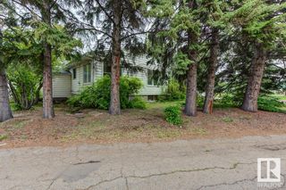 Photo 25: 8710 119 Street in Edmonton: Zone 15 House for sale : MLS®# E4301590