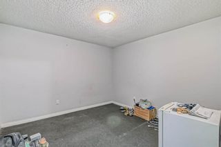 Photo 38: 2509 Catalina Boulevard NE in Calgary: Monterey Park Detached for sale : MLS®# A2018170
