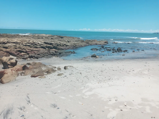 Photo 7: Beach Investment in Panama