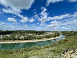 Photo 37: 69 Dovercliffe Close SE in Calgary: Dover Detached for sale : MLS®# A2129385